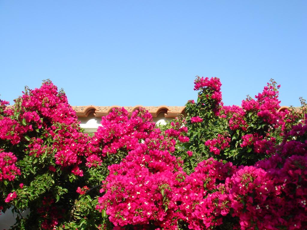 Monte Dos Arneiros Hotel Lavre ภายนอก รูปภาพ